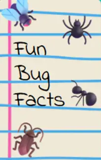 A Yoto card in the notepaper pattern, titled Fun Bug Facts