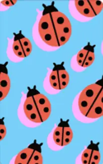 A Yoto card in the ladybug pattern